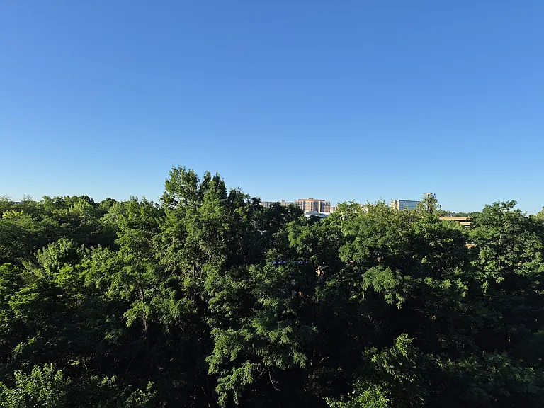 3705 S George Mason Dr #709S — Photo 3