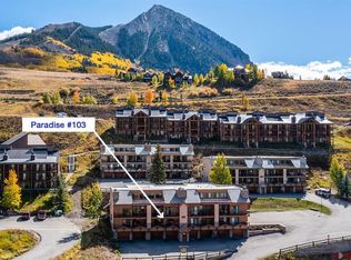 20 Hunter Hill Rd #103, Crested Butte, CO 81224