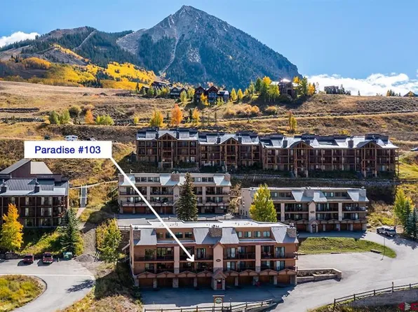 20 Hunter Hill Road #103, Mt. Crested Butte, CO 81225
