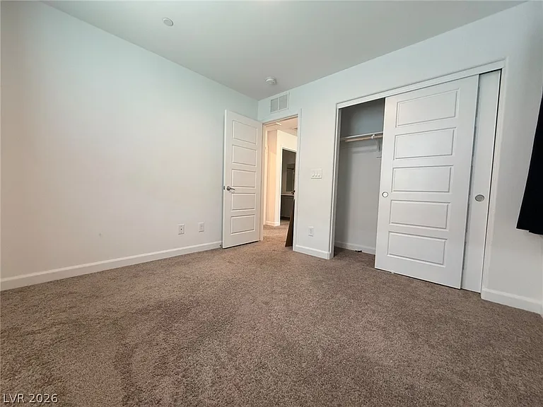 699 Pickled Pepper Pl — Photo 21
