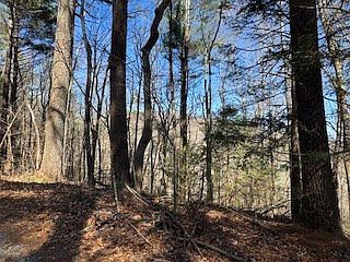 4th image of 14 Butler Creek Rd