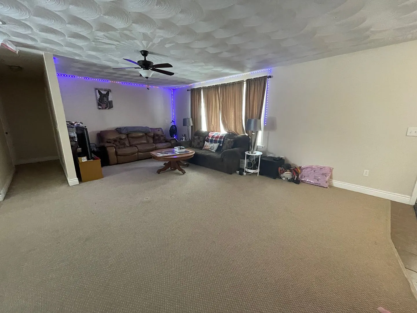 4 Bedroom Close to Ithaca College — Photo 2