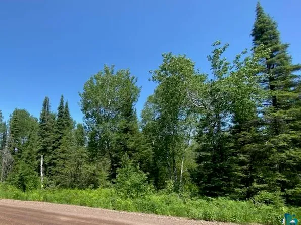 869 Forest Heights Rd, Knife River, MN 55609
