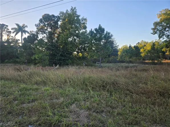 521 Denbigshire St, Lehigh Acres, FL 33974