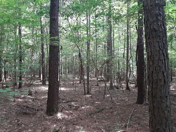 2nd image of 6636 Blackwater Rd