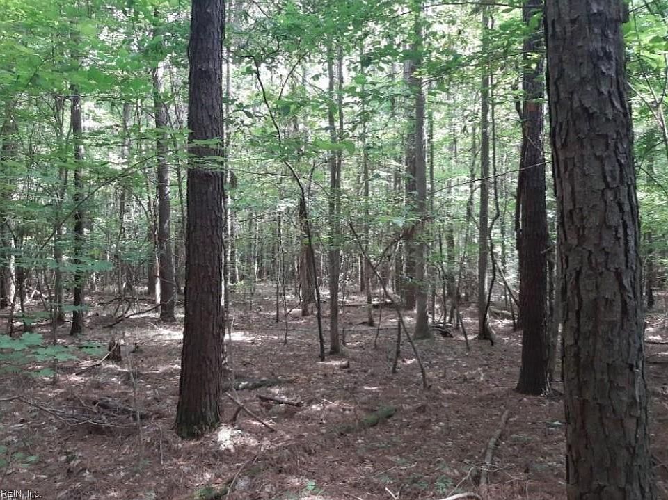 2nd image of 6636 Blackwater Rd