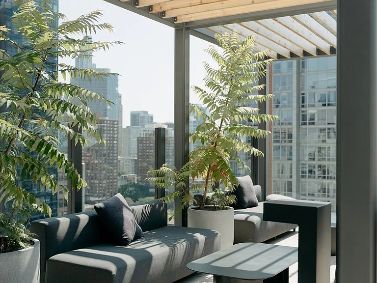 Terrace View