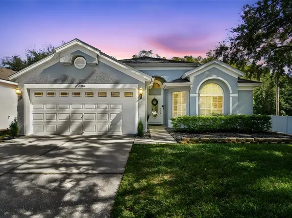13401 Fawn Springs Dr, Tampa, FL 33626