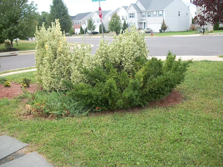 2002 Cotton Tail Dr — Photo 15