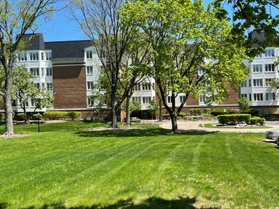 250 Lake Blvd APT 231, Buffalo Grove, IL, 60089