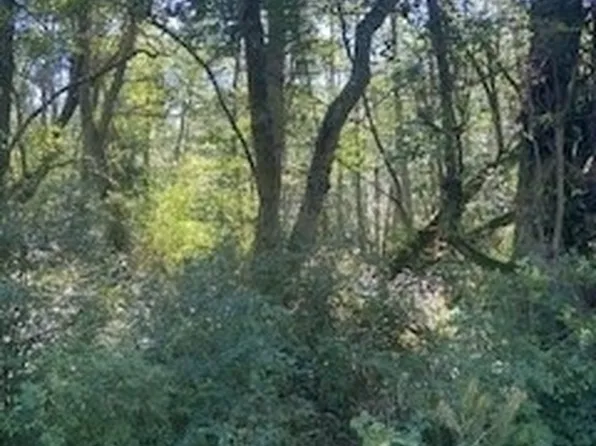 0 NHN Guemes Island Road, Anacortes, WA 98221