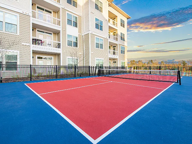The Net - Pickle Ball Court