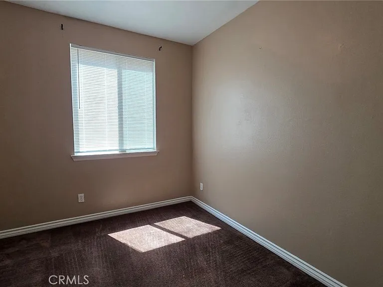 12432 Celebration Dr — Photo 16