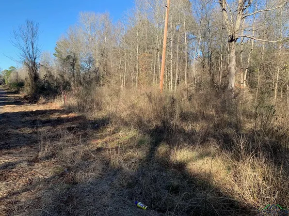 County Road 336, De Berry, TX 75639