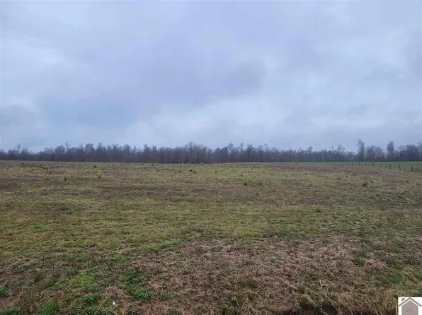 0 State Route 295 N Lot 4, Kuttawa, KY 42055