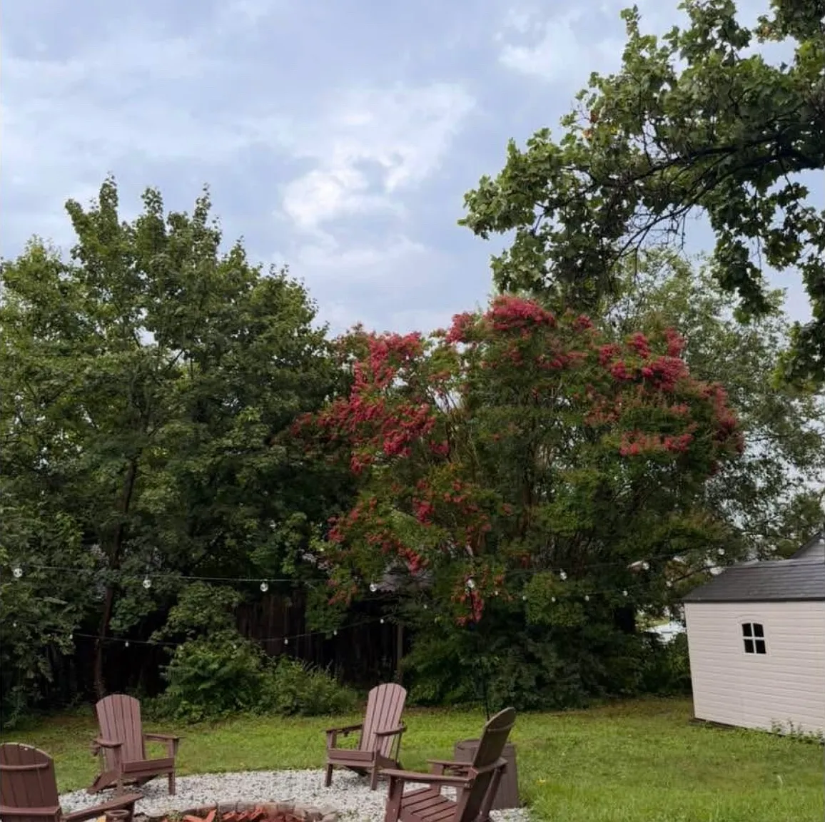 3 bed, 1702 sqft, $1,900 — Photo 2
