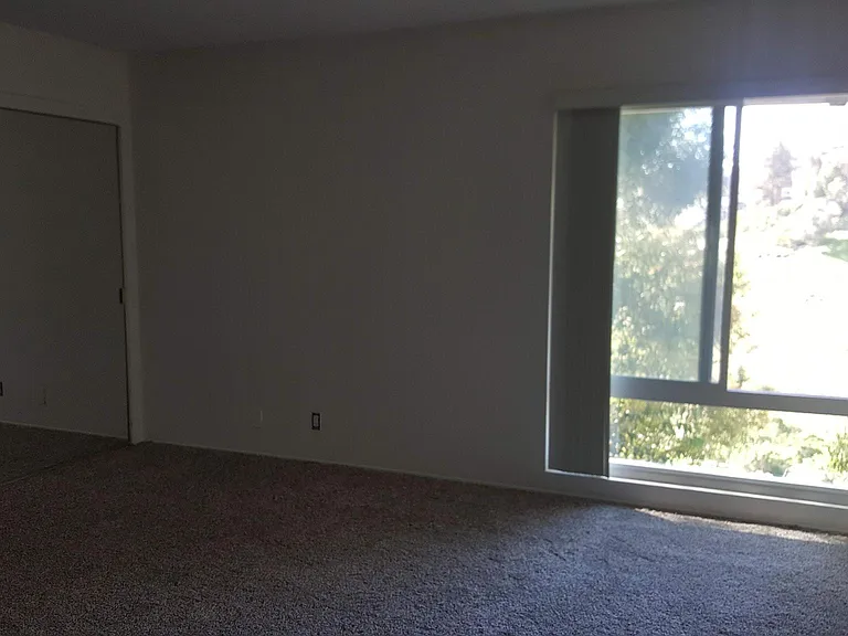 741 Amigos Way #739 — Photo 11