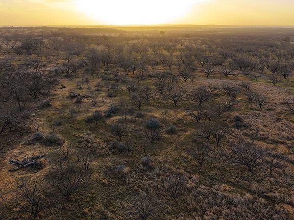 Dji 20260219075540 0608 D