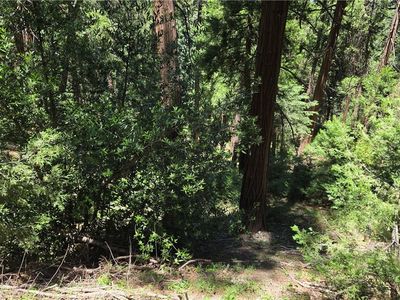 987 Deer Run Rd, Cedarpines Park, CA, 92322