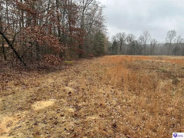 0 Pioneer Rd, Horse Cave, KY 42749