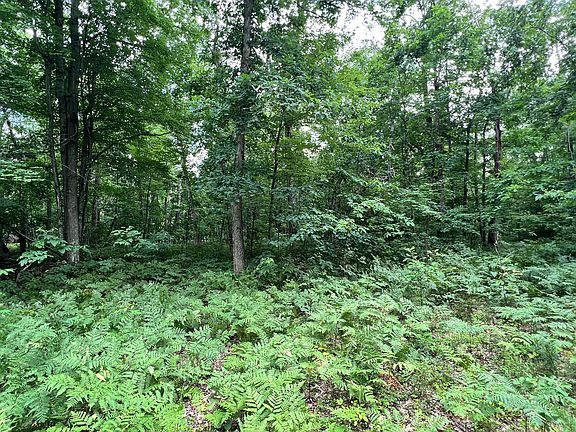 3rd image of V/l S Woodland Dr