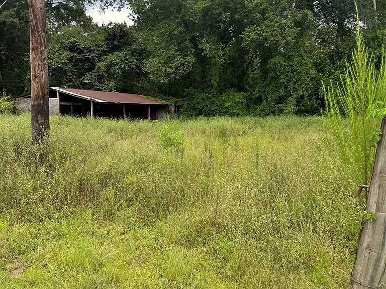 20195 Scott Gardner Rd — Photo 39