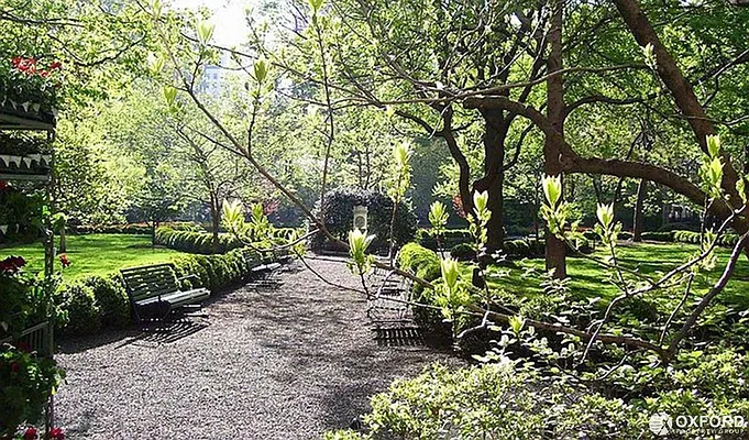 Rented by Oxford Property Group | media 38