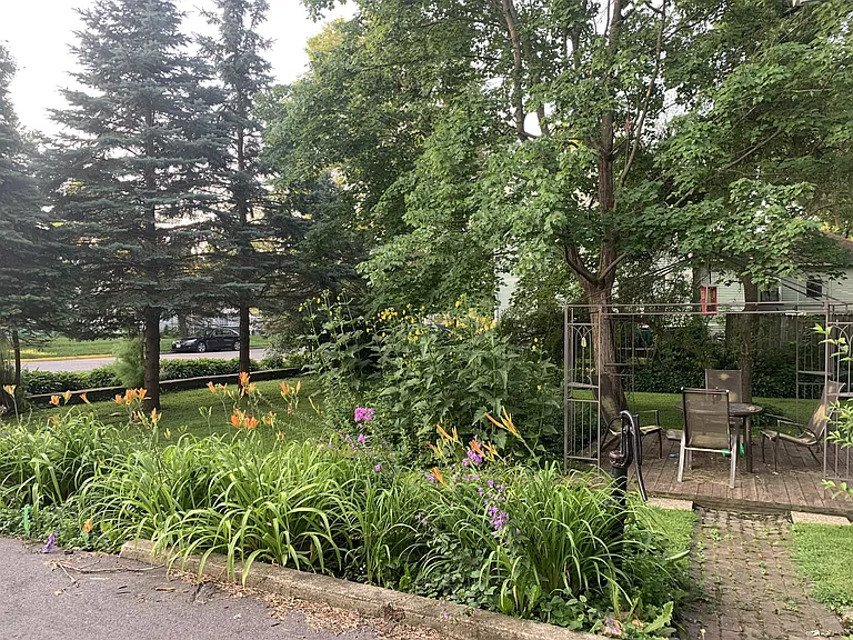 342 Elm St — Photo 31