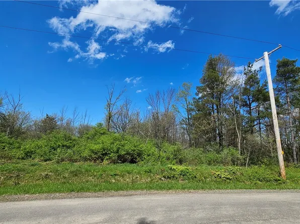 Murray Hill Rd Lot 1, Colden, NY 14033