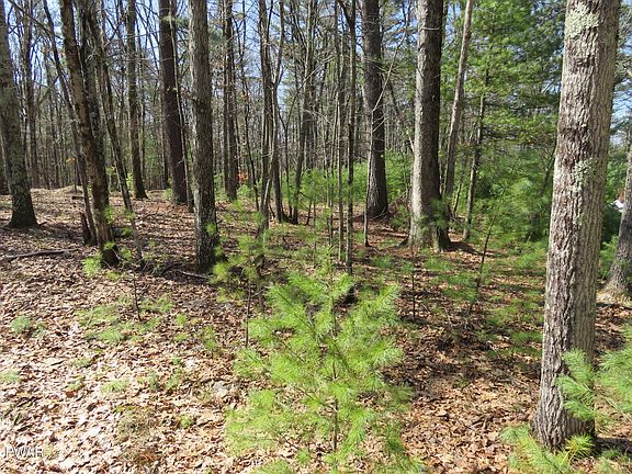 3rd image of LOT 30 Ledgecrest Rd