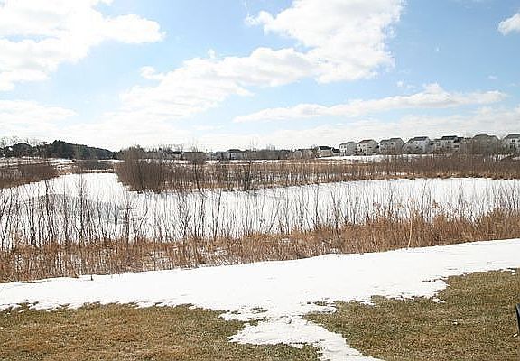 Scenic view from dining room