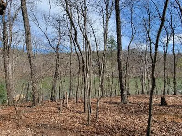 85 Lakeshore Terrace Rd, Hardy, VA 24101