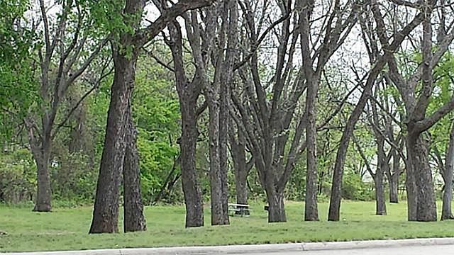 2nd image of 3317 Oak Vista Dr