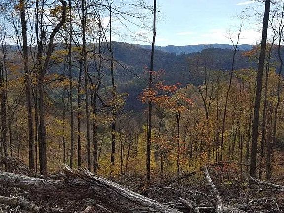 5th image of 00 (59.32ac) War Creek Rd