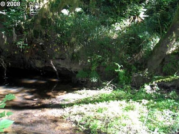 Creek frontage, too!