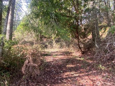 5 NE Gladwin Road, Belfair, WA, 98528