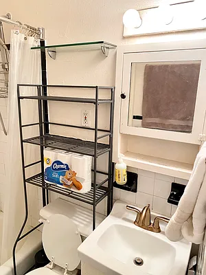 Rented by Living New York | media 14