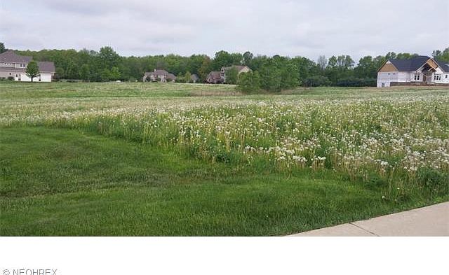 2nd image of 2068 High Meadow Ct