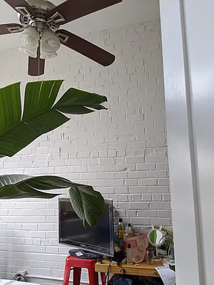 Rented by Carnegie Management Inc | media 11