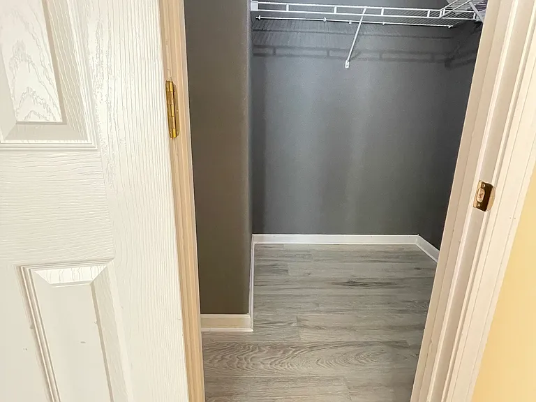 Guest bedroom walk-in closet