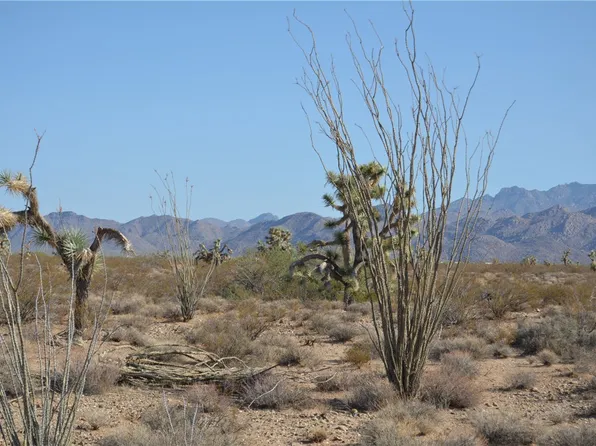PARCEL Four Raley Rd #O, Yucca, AZ 86438