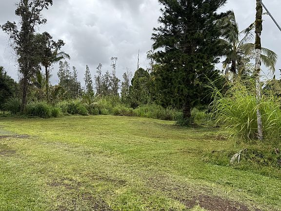 Extra large yard