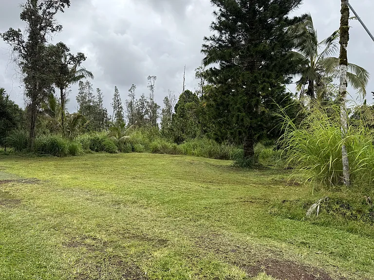 Extra large yard