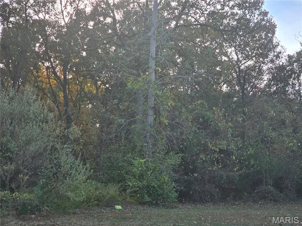 0 Treetop Rd, Saint Robert, MO 65584