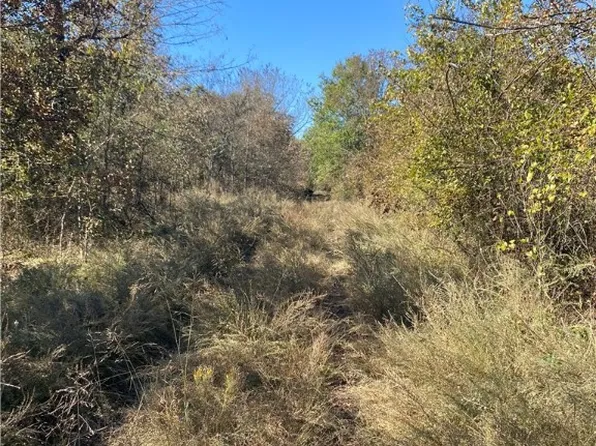 TRACT 5 State Highway 63, Blanco, OK 74528
