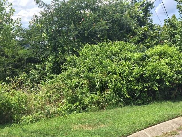 2nd image of 127 Overlook Ct #127