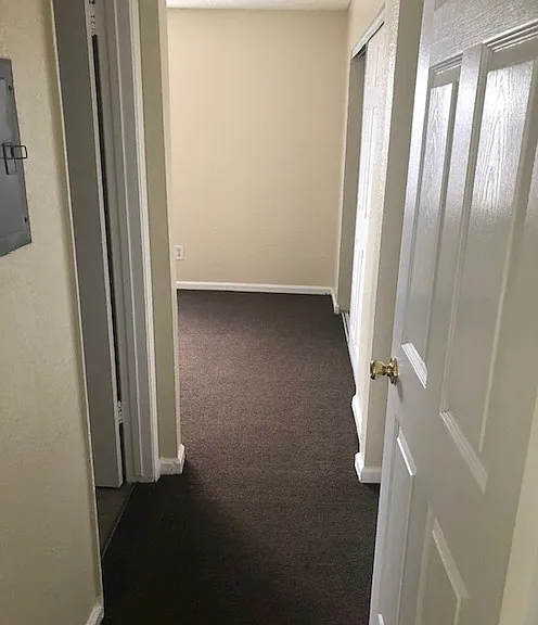 Pinetree Apartments — Photo 7
