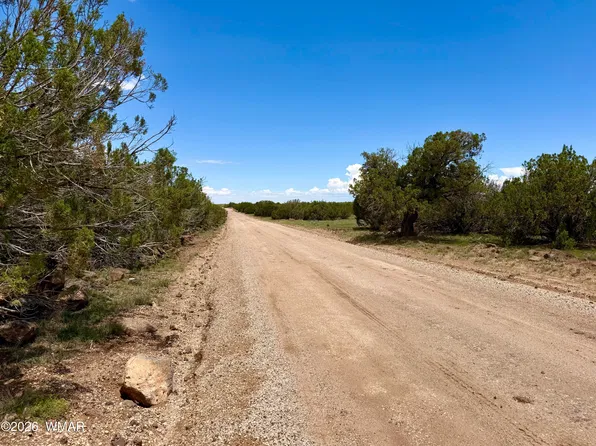 127 County Road 8051 Rd, Concho, AZ 85924