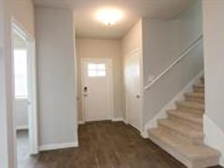392 Fall Aster Dr — Photo 9