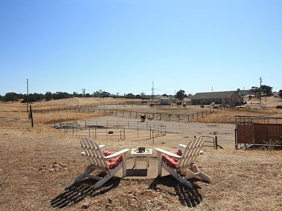 Great views of the horses